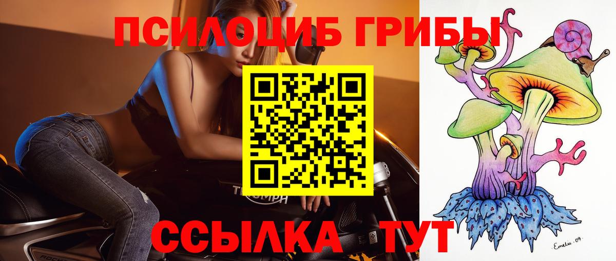 Псилоцибиновые грибы Cubensis  Вход с VPN  Удомля 